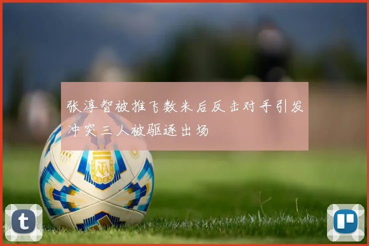 张淳智被推飞数米后反击对手引发冲突三人被驱逐出场