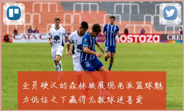 全员硬汉的森林狼展现老派篮球魅力低估之下赢得无数球迷喜爱